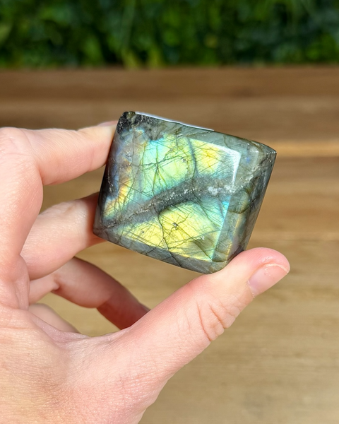 Small Labradorite freeforms
