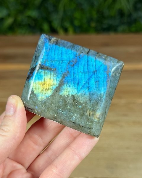 Small Labradorite freeforms