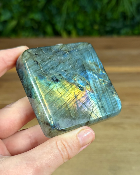 Small Labradorite freeforms