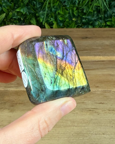 Small Labradorite freeforms