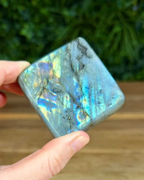 Small Labradorite freeforms
