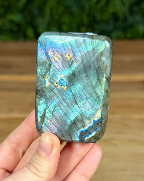 Small Labradorite freeforms