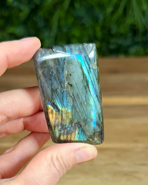 Small Labradorite freeforms