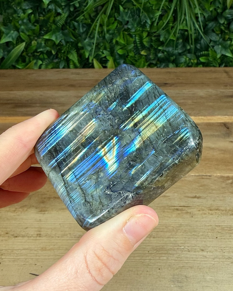 Small Labradorite freeforms