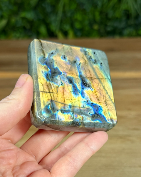 Small Labradorite freeforms