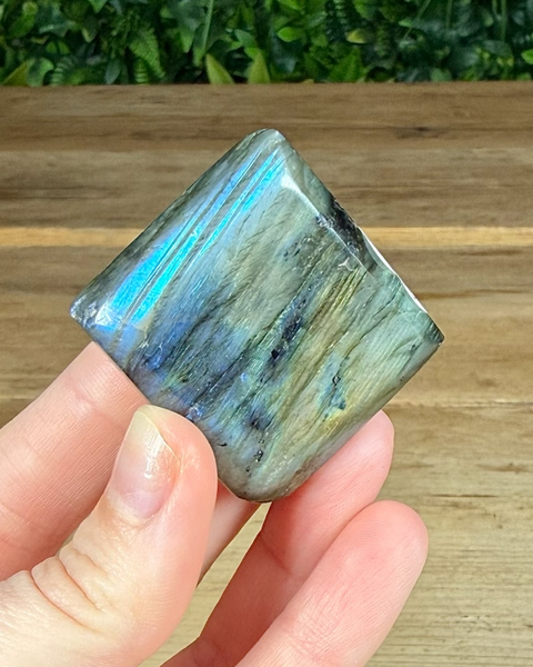 Small Labradorite freeforms