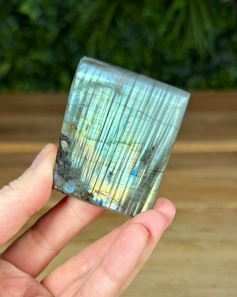 Small Labradorite freeforms