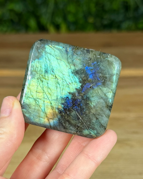 Small Labradorite freeforms