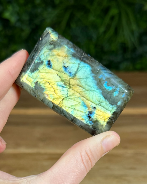 Small Labradorite freeforms