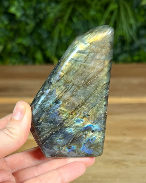 Small Labradorite freeforms