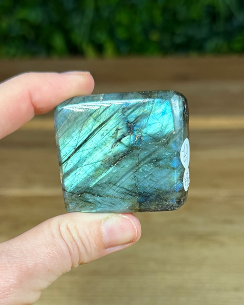 Small Labradorite freeforms