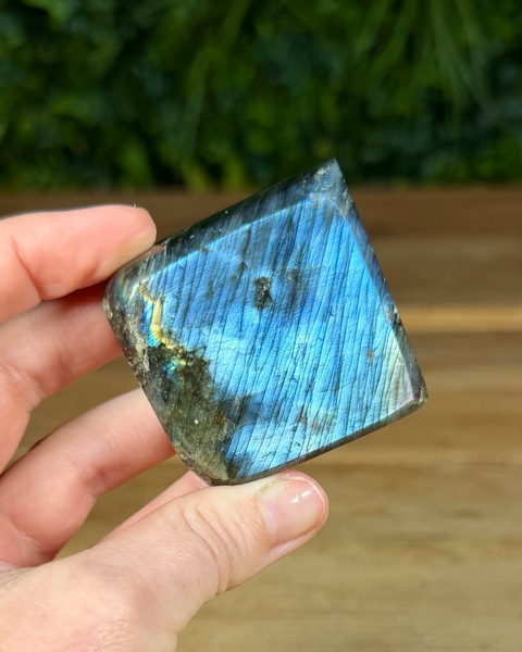 Small Labradorite freeforms