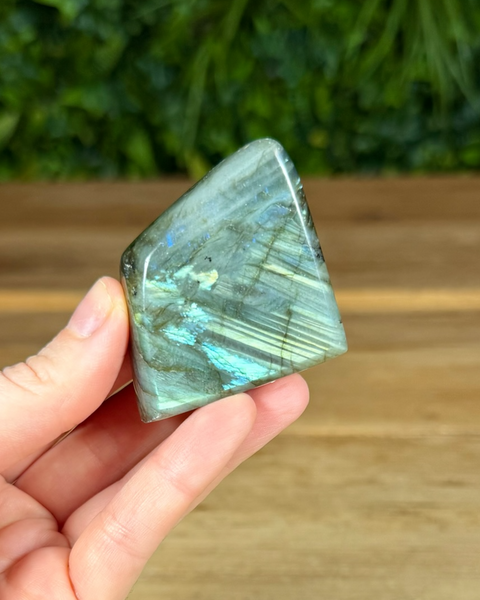 Small Labradorite freeforms