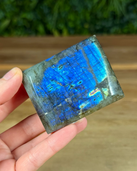 Small Labradorite freeforms