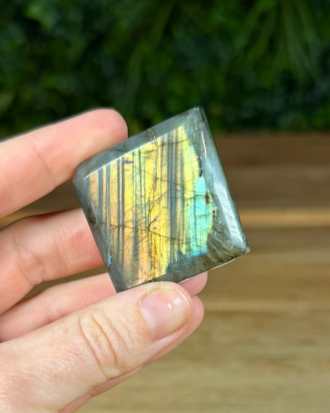 Small Labradorite freeforms