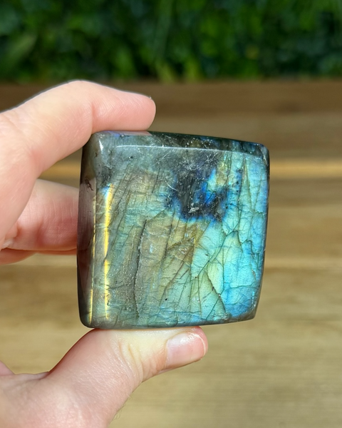 Small Labradorite freeforms