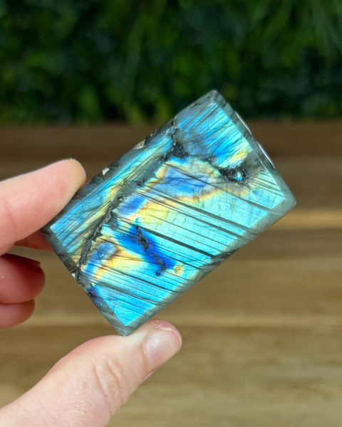 Small Labradorite freeforms