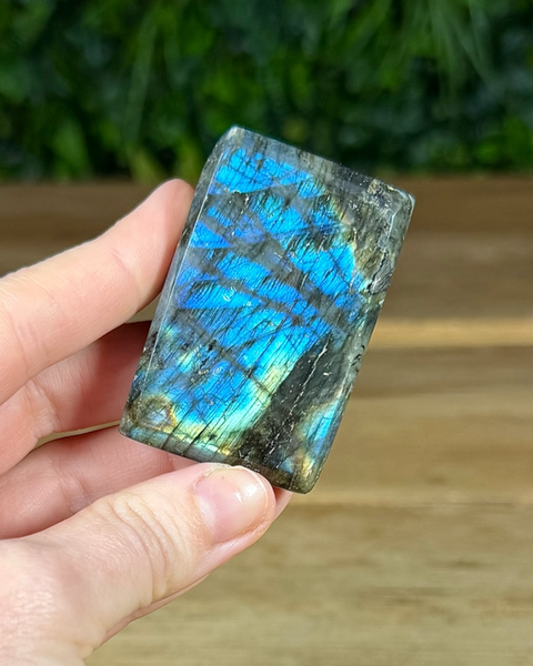 Small Labradorite freeforms