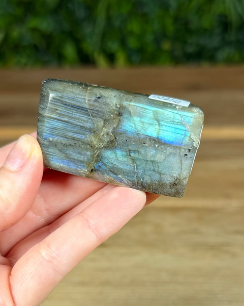 Small Labradorite freeforms