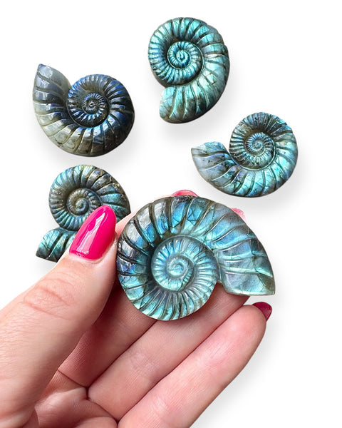 Labradorite ammonite carving