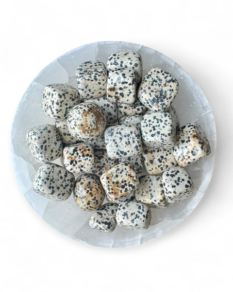 Dalmation jasper tumble stone