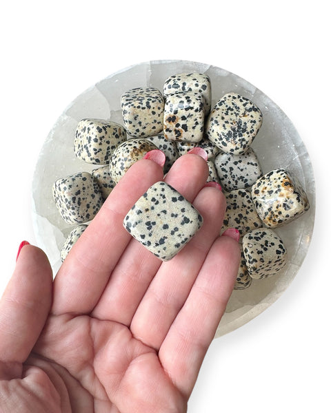 Dalmation jasper tumble stone
