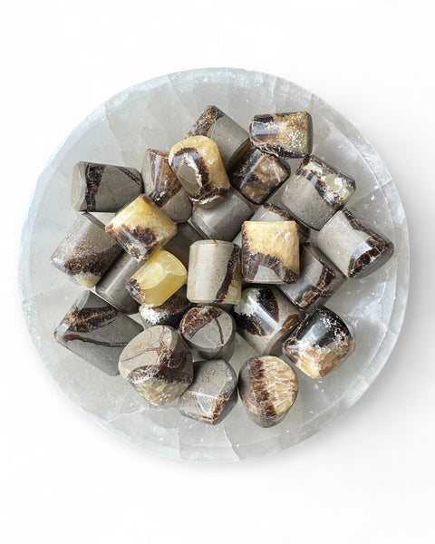 Septarian tumble stone