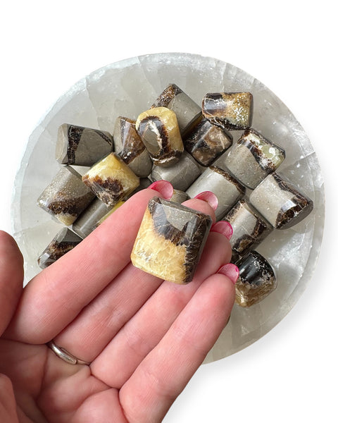 Septarian tumble stone