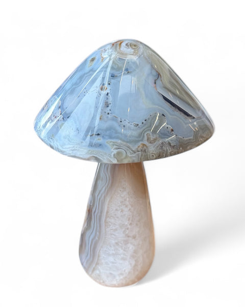 Agate mushrooms