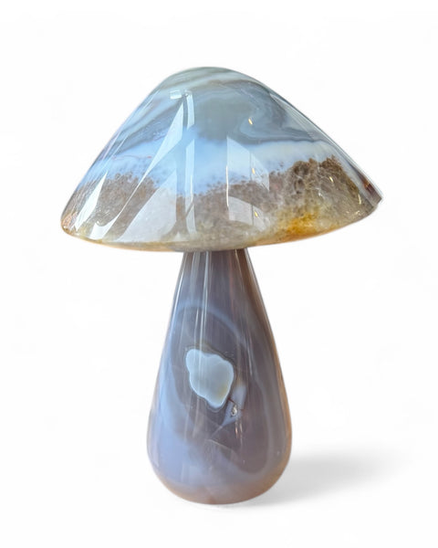 Agate mushrooms