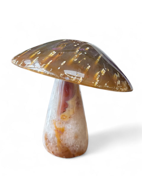 Agate mushrooms