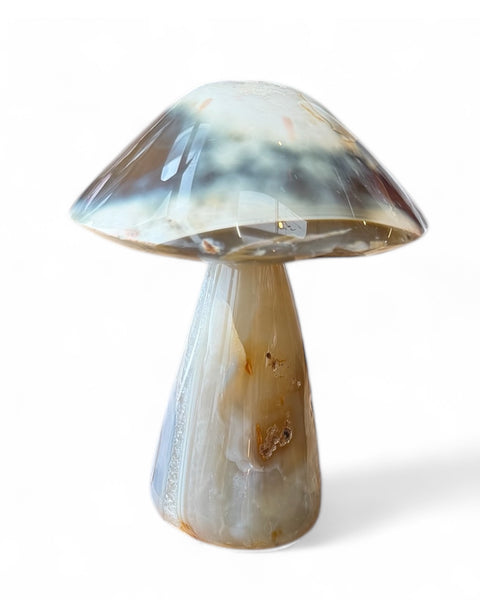 Agate mushrooms