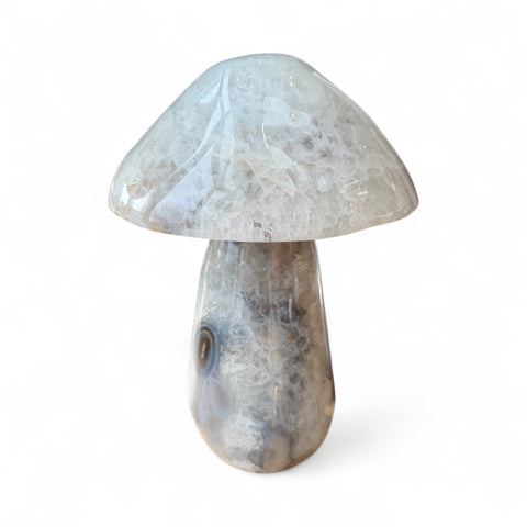 Agate mushrooms