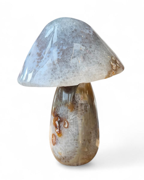 Agate mushrooms