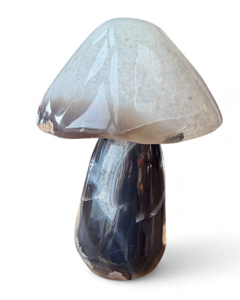 Agate mushrooms