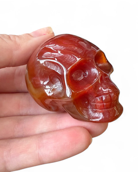 Carnelian crystal skull carving