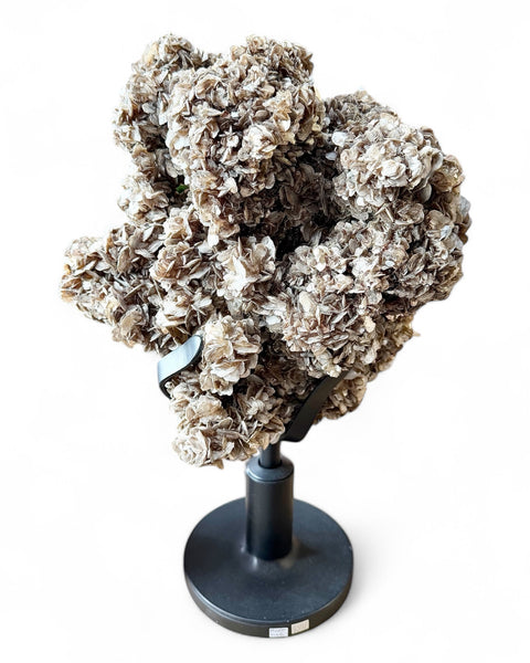 Muscovite crystal on stand