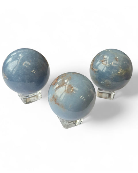 Angelica spheres on white background