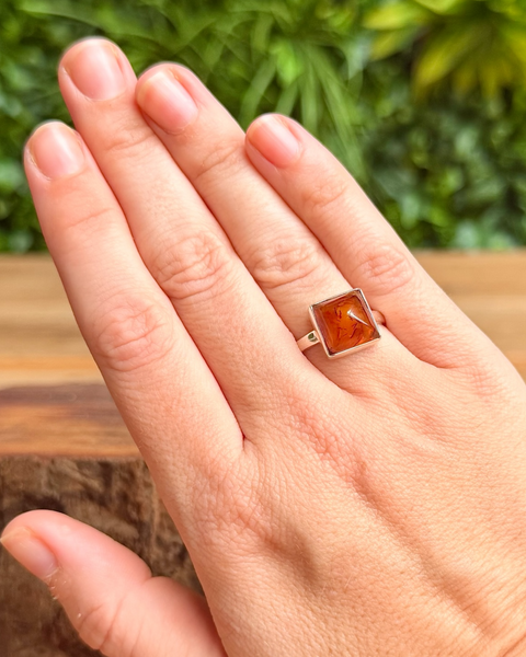 Amber in sterling silver ring - size N