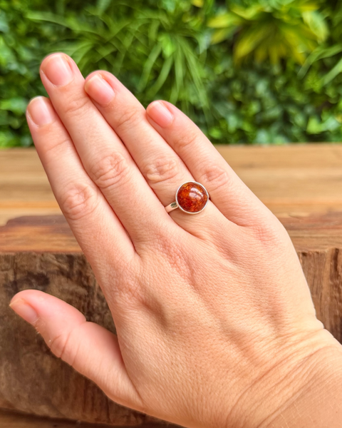 Amber in sterling silver ring - size O