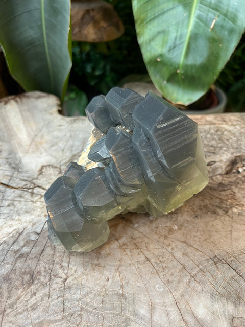 Dragon Scale Calcite