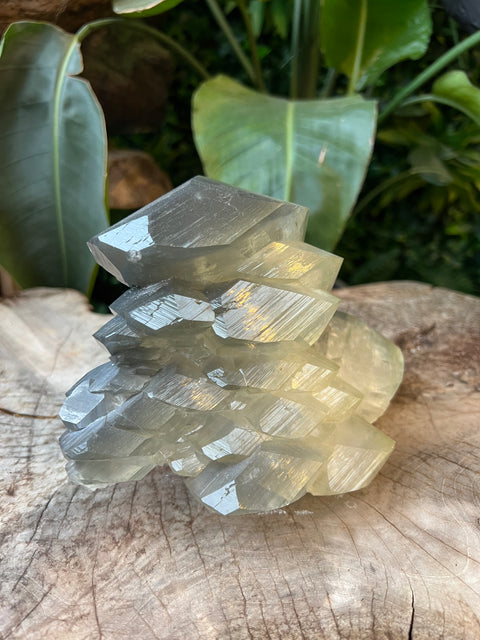 Dragon Scale Calcite