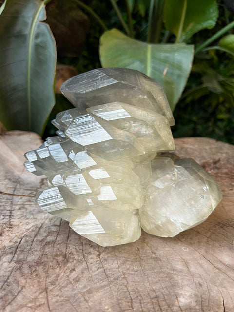 Dragon Scale Calcite