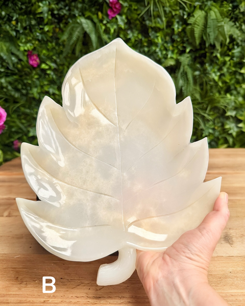 White leaf-shaped bowl held by a hand with a green foliage background