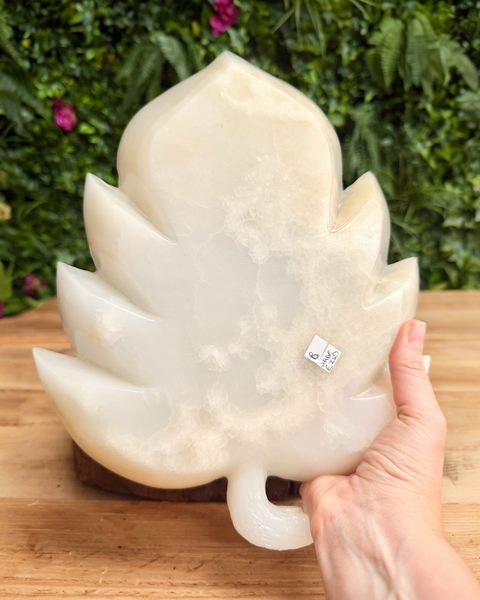 Large white stone sculpture of a leaf held by a hand on a wooden surface with greenery in the background
