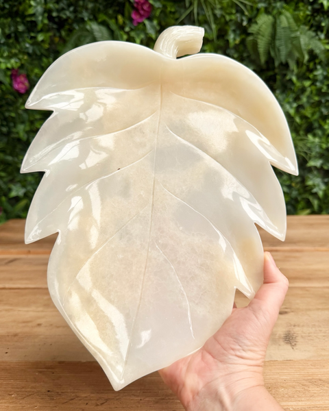 Large leaf-shaped object held by a hand with a blurred green outdoor background