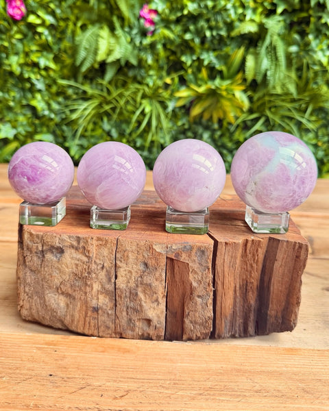 Four pink crystal kunzite balls on a wooden stand with a natural background