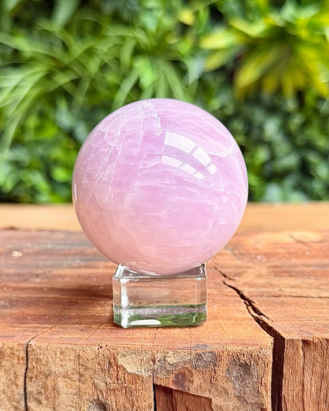 Pink kunzite crystal sphere on a wooden surface with green foliage in the background