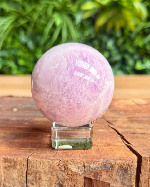 Pink kunzite crystal sphere on a wooden surface with green foliage in the background