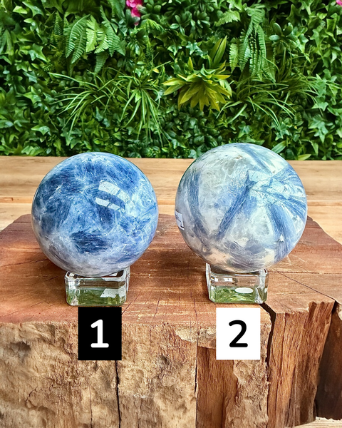 Two blue kyanite spheres on stands with a natural wood and green foliage background